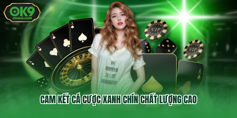 Cam kết cá cược xanh chín chất lượng cao